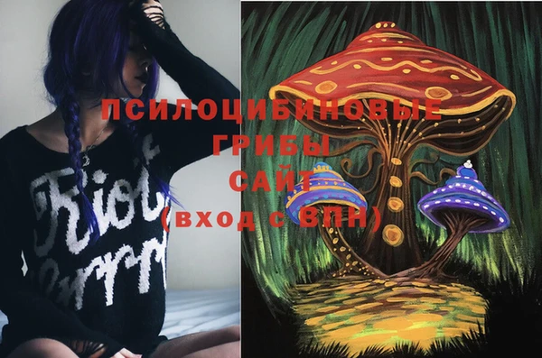 трава Аркадак