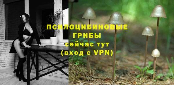 прущий лед Алзамай