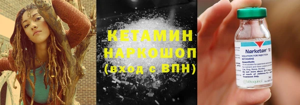 трава Аркадак