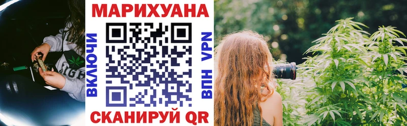 где можно купить   Шатура  Бошки Шишки план 